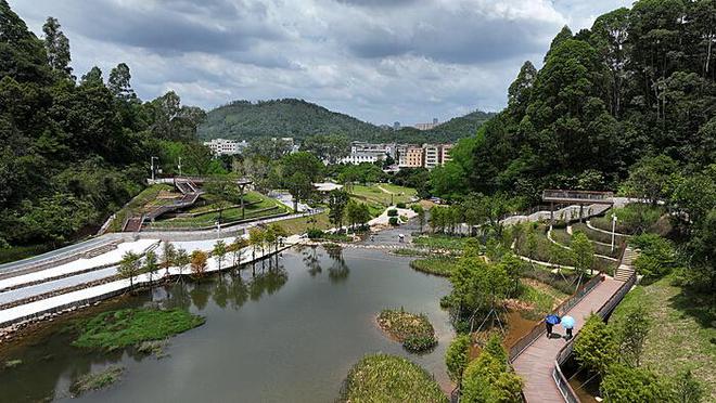 写人记叙文：记忆中的那双慧眼